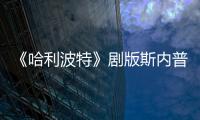 《哈利波特》剧版斯内普演员自曝片场糗事：骑扫帚时摔落悬空