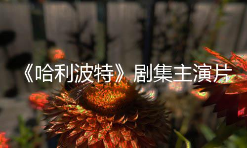 百万剧集就成片酬曝光二季特第哈利波主演富翁
