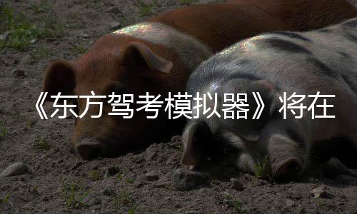 日登将拟器平台东考模2月陆S在1方驾