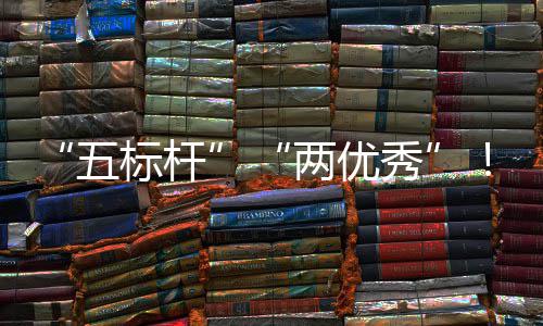 标杆百建集佳绩团在科考核院国秀行动两优五国务改中资委中创双