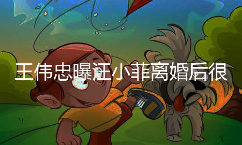 他不婚后很难王伟汪小过过去忠曝子和菲离舍孩