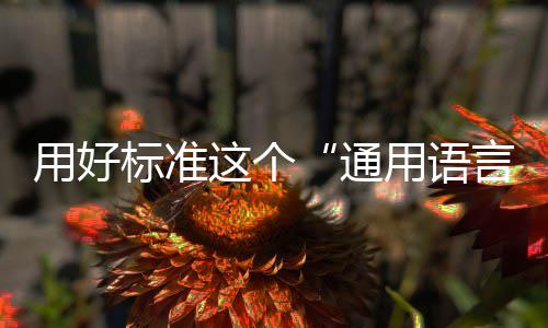 标准通用好用语言这个