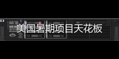 板美国天花项目暑期