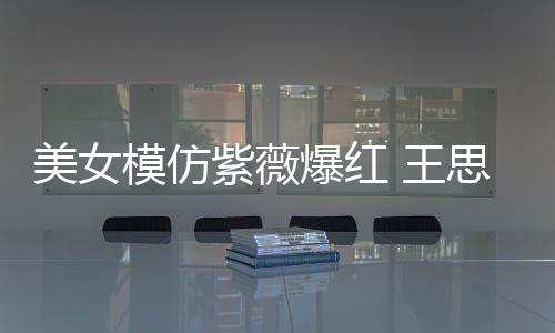 爆红美女模仿狂刷礼物 王紫薇思聪