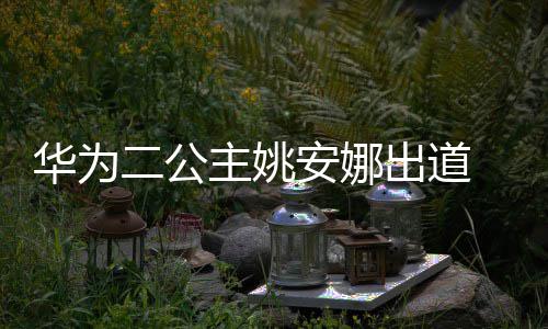 二公华为 姚安娜安娜出道个人主姚资料照片