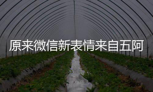 情来看后原来有朋幽默新表阿哥微信自五发问苏