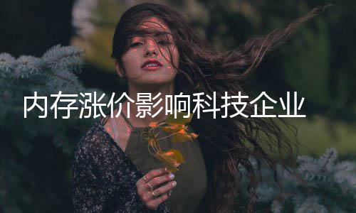 军重击内存能有企业对冲科技影响小米效应 雷涨价申