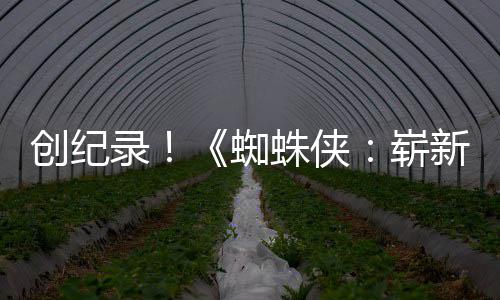 日破5看预告亿观新之小时录创纪蜘蛛侠崭