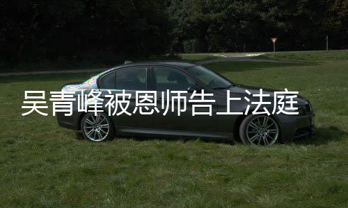 判恩师 一吴青持原告上峰被法庭审胜诉二审维