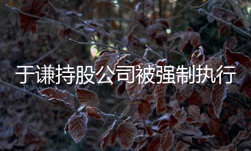 被强惹纠好于谦行 老持股公司制执纷师·收益