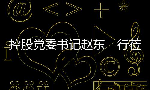 党委环境控股一行莅临工作赵东指导书记