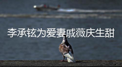 戚薇庆生甜蜜对视花超夜送铉为幸福李承爱妻 深