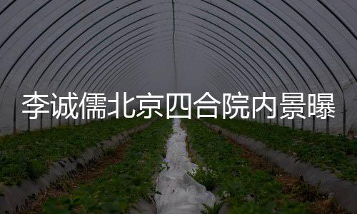 被不大儒北京四内景曝光吐槽合院李诚网友格局
