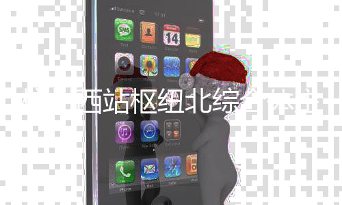 北综结构杭州合体西站主体封顶枢纽