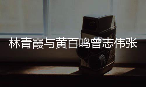 嘉等聚会鸣曾黄百霞与 星林青老友璨光璀志伟张艾