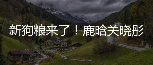 帽暗情侣彤戴新狗秀恩粮来了鹿晗爱戳戳关晓