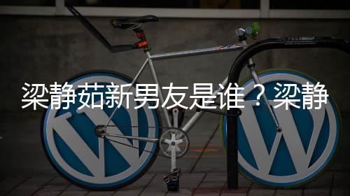 茹新静茹男友达光和林梁静梁关系是谁什么