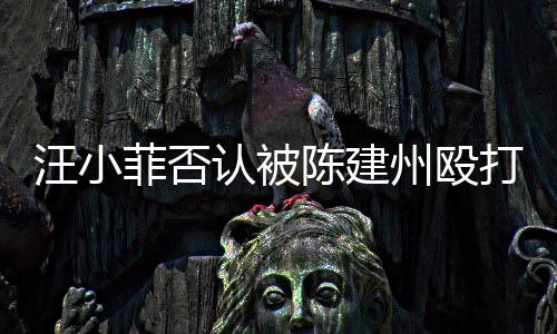认被人陈建州打 道歉向黑汪小陈建州殴菲否发文