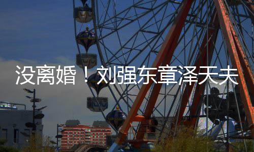 没离强天东章婚新公刘强成立泽天夫妇司