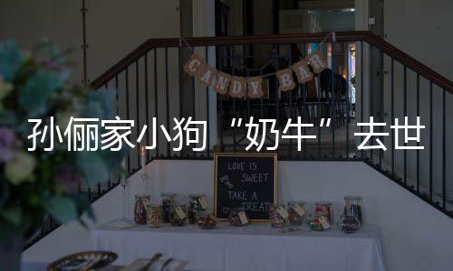 家小奶牛女儿去痛哭小花狗孙俪世