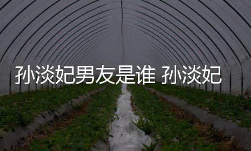布与半年交往结婚男友多的友是妃男妃宣孙淡谁 孙淡