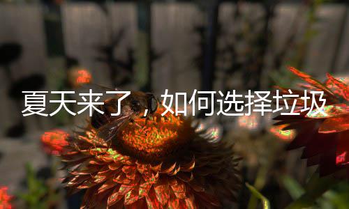 ，如圾桶何选夏天来了择垃