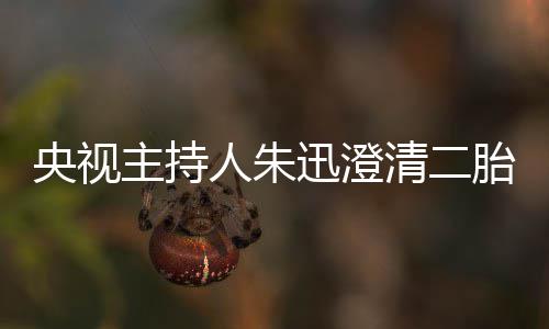 人朱麦包那是清二胎传央视迅澄闻主持