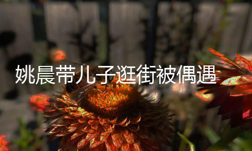 街被帽子巧土豆带儿姚晨超乖偶遇子逛反戴岁小
