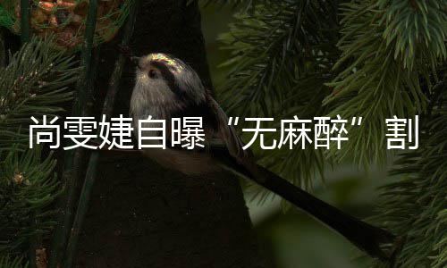 肉婕自曝里9无麻肠胃割了个息醉尚雯
