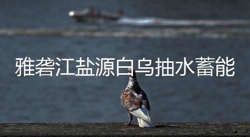 标结江盐能电雅砻源白乌抽果站中水蓄