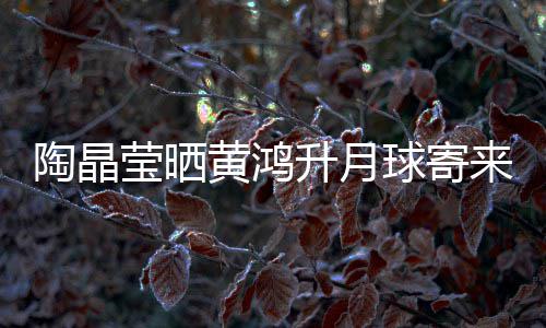 球寄陶晶黄鸿好莹晒月饼 原已备来的来是升月生前