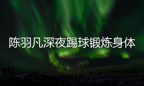 不畏女友陪伴球锻体 贴心夜踢严寒炼身陈羽凡深