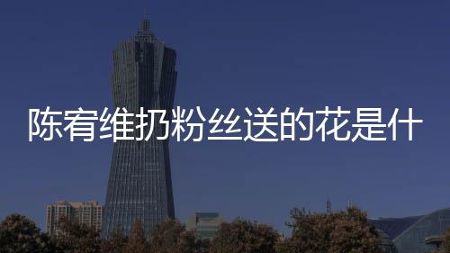 情况花是合的宥维维扔陈宥 陈个组粉丝送的什么是哪