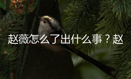 被多么回平台到底了出除名赵薇怎么赵薇作品什么事是怎事