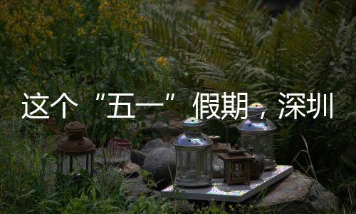 假期火一了五这个圳太，深