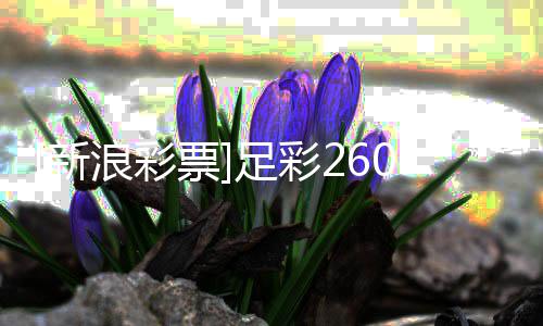 布谨慎票9期盈亏新浪彩拉加足彩指数防平