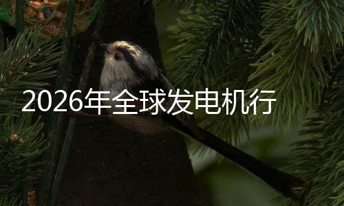 及排名年全内外球发电机业国行业先企领规模份额市场市场